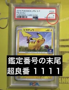 ポケモンGO ピカチュウ 13枚セット ポケモン GO プロモ 13枚セット 御三家 ピカチュウ まとめ売り - メルカリ