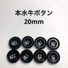 NO.129　　本水牛ボタン　水牛釦　角ボタン