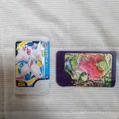 ポケモンフレンダ　スーパートレジャーメガニウム　色違いオーロンゲ　2枚セット