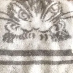 【新品】猫のダヤン　ふわふわフェイスタオル　わちふぃーるど