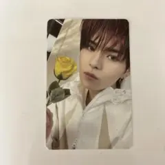 treasureヨシトレカ