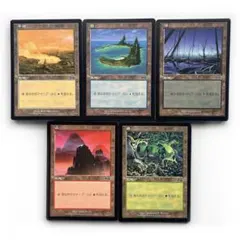 MTG マジックザギャザリング まとめ売り 土地カード - メルカリ