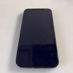 <いま様専用>Apple iPhone 12 ブラック 本体