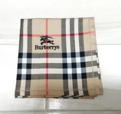 Item thumbnail for item c4191620-3bea-404a-bd8e-a6b878fd6b08