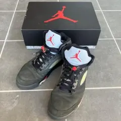 NIKE WMS AIR JORDAN5 GORE-TEX US10.5のサムネイル