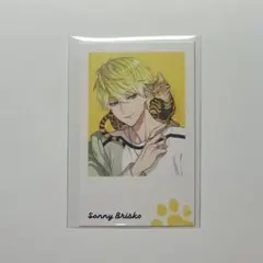 サニー・ブリスコー にじさんじ EN Noctyx チェキ風カード