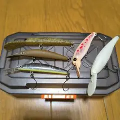 ハンクルシャッドSRセット ハンクルシャッドSRセット 【公式通販】