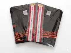 Item thumbnail for item f00bab36-07c2-4bfa-a32f-ac153280ce11