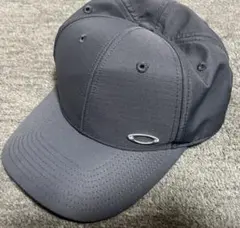 Item thumbnail for item 49c0d8d0-a33d-495f-abd3-134295736bdb