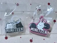 SEVENTEEN miniteen エスクプス　ジュン　 2つセット　匿名配送