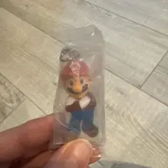 マリオ　めじるしアクセサリー