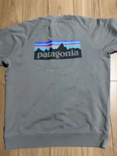 patagonia グレー クルーネック トレーナーのサムネイル