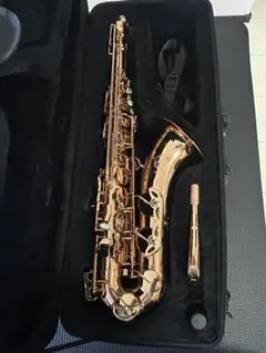 2025年最新】カドソン サックスの人気アイテム - メルカリ