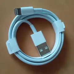 Apple iPhone 純正品 正規品 充電器 ライトニング コード ケーブル