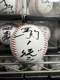 2025年最新】駒田 サインの人気アイテム - メルカリ