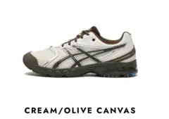 Temptation Vacation asics GEL TRAINER 14