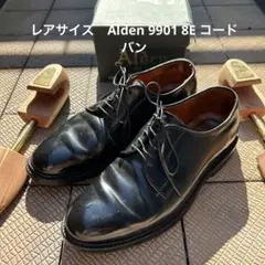 レアサイズ　Alden 9901 8Eブラック コードバン　シューツリー付のサムネイル