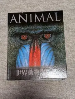 世界動物大図鑑