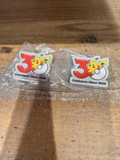 ポケモン 30周年メタルチャームマスコット ピカチュウ2個