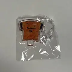 清水エスパルス ガチャグッズ