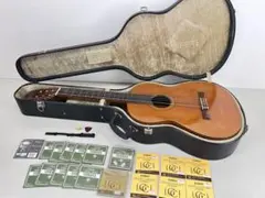 Item thumbnail for item 30c016bd-64ce-4899-9227-9e51e00bde5f