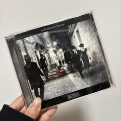 Acid Black Cherry INCUBUS トレカ コンプリートセット Acid Black Cherry INCUBUS トレカ シングル - メルカリ