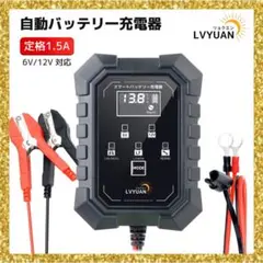 2026年最新】lifepo4 100ahの人気アイテム - メルカリ