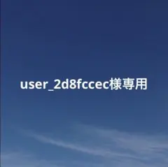 user_2d8fccec様 リクエスト 2点 まとめ商品
