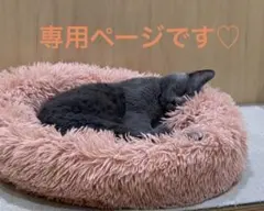 ナミ様 リクエスト 4点 まとめ商品