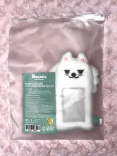 TXT スビン プルバトゥ ヨンモン トレカケース チェヨンモン フォトホルダー