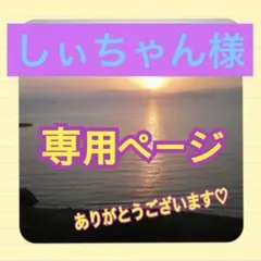 しぃちゃん様 ご専用♡ アロエ 20枚 /パール 10枚