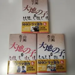 大地の子 全集 DVDBOX〈6枚組〉 山崎豊子 - メルカリ
