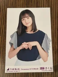 Item thumbnail for item 7c6ef790-6bb6-4fac-8917-311dc0d9eb57