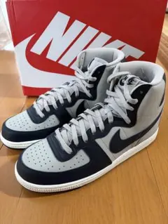 新品未使用 / 超激レア / NIKE TERMINATOR HI - メルカリ
