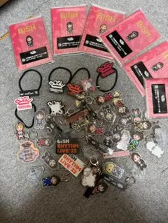 BiSH キーホルダー 缶バッジ チェキ ライブグッズ まとめ売り 2026年最新】bish アクリルキーホルダーの人気アイテム - メルカリ