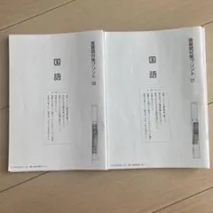 2025受験組　サピックス 国語【最難関対策プリント】