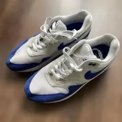 NIKE AIR MAX 1 エアマックス1 アニバーサリー 26.5cm