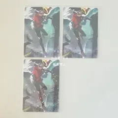 Crazy raccoon　CR　コレクションカード　レア　だるまいずごっど　⑵