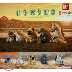 まちぼうけ8 ハムスター