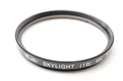 Item thumbnail for item 22879684-ba59-4bdd-83d0-f02fc8b38645