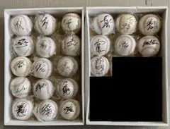 北海道日本ハムファイターズ 直筆サインボール セット①