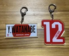 Item thumbnail for item 9a8f5d0a-c998-4668-a087-cf6ef8422a57