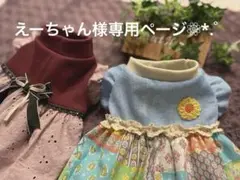えーちゃん様専用ページ❁⃘*.゜