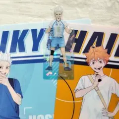 【未使用】ハイキュー マツキヨコラボ クリアファイル ブックマーカー 日向 星海