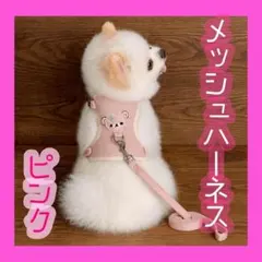 Item thumbnail for item e379c412-60ba-4fbe-8cca-540e597d71ef