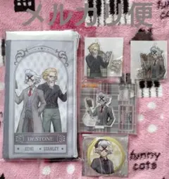 Dr.Stoneドクターストーン缶バッジアクリル　読書の秋編くじ　スタンリーゼノ