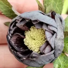 jubilly様 リクエスト 2点 まとめ商品