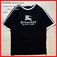 希少【BURBERRY】ナイトロゴ 胸元に品格を添えるシャンルヴェ技法
