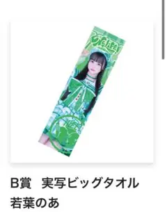 2025年最新】若葉のあ タオルの人気アイテム - メルカリ
