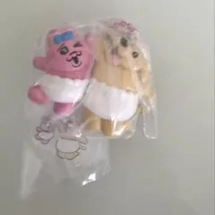 おぱんちゅうさぎ わんころ レア